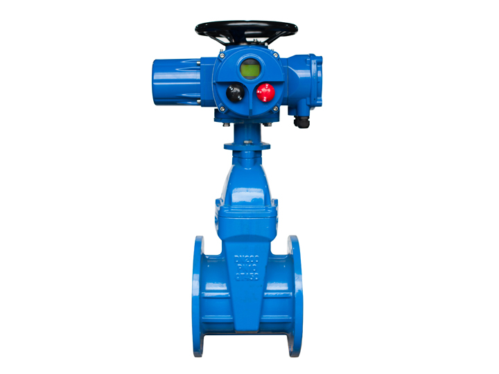 RHDZ30普通型電動閘閥